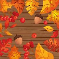 Fondo de madera con hojas de otoño y frutas. vector