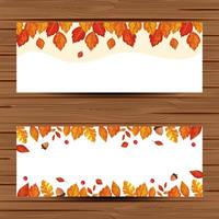 frame with autumn leafs foliage vector