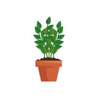 plant in house pot isolated icon vector