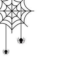 spiders of halloween in cobweb vector