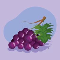 Purple grapes fruit vector design