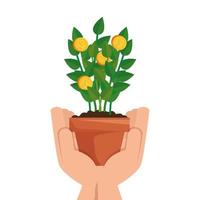 hand with plant of coins isolated icon vector