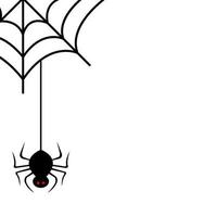 spider of halloween in cobweb vector