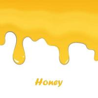 Honey dripping isolated on white background, vector illustration