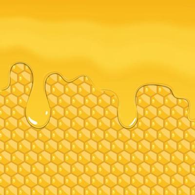 Honey dripping isolated on honey combs, vector illustration
