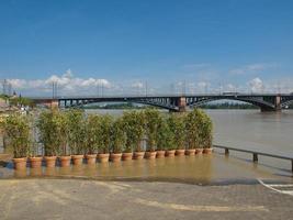 River Rhine flood in Mainz, Germany photo