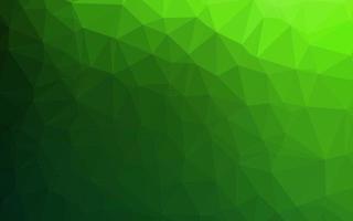 Light Green vector polygon abstract backdrop.