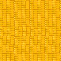 Seamless pattern with grains of corn. texture of seeds vector