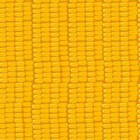 Seamless pattern with grains of corn. texture of seeds vector