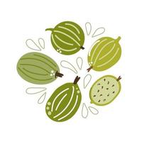 Set of hand drawn gooseberries. Flat illustration. vector