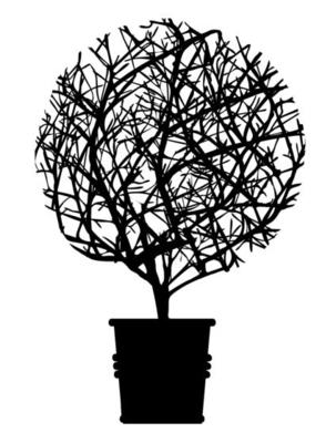 Dark single silhouette shape of a floral tree for the posters, shirts