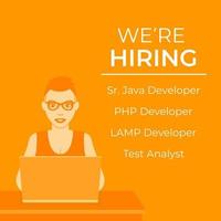 We are hiring software developers, vector template