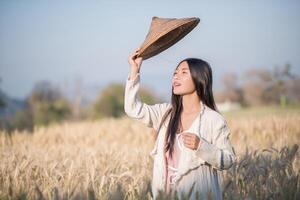 La agricultora vietnamita en el campo de la cosecha de trigo foto