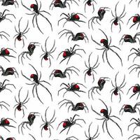 black widow spider seamless pattern vector