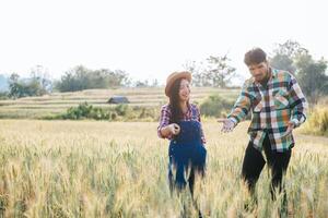 Farming couple looking out at barley field in harvesting season photo