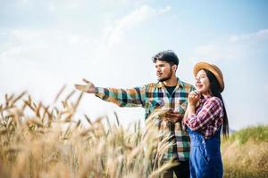 Farming couple looking out at barley field in harvesting season photo