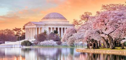 Jefferson Memorial durante el festival de los cerezos en flor foto