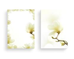 Beautiful spring flower frame, invitation, wedding card photo