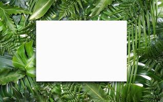 Fluorescent summer background, abstract summer frame,banner photo