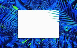 Fluorescent summer background, abstract summer frame,banner photo