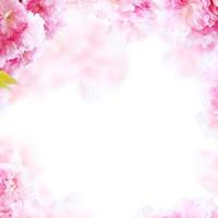 Hermoso fondo de marco de flores de primavera, tema de temporada, hola primavera