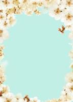 Beautiful spring flowers frame background, Season theme, hello spring photo