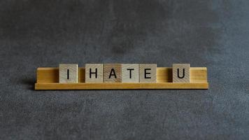 I hate you wooden block words photo