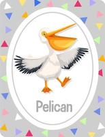 flashcard de vocabulario con la palabra pelican vector