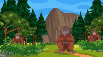 orangután en el bosque o la escena de la selva tropical con muchos árboles vector