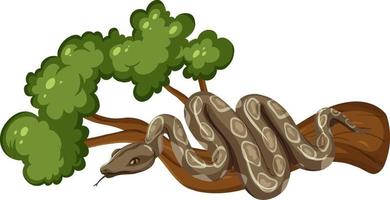 Serpiente en una rama aislada sobre fondo blanco. vector