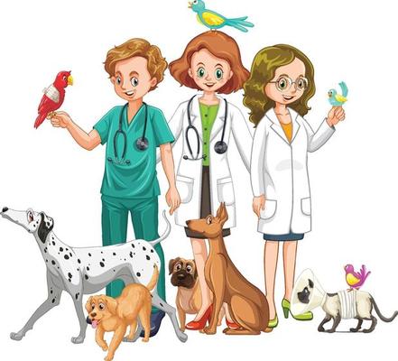 Veterinarian with many kind of animals