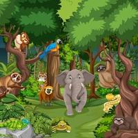 personaje de dibujos animados de animales salvajes en la escena del bosque vector