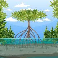 escena de la naturaleza con bosque de manglares en estilo de dibujos animados vector