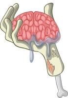 cerebro humano en mano zombie vector