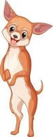 Chihuahua dog cartoon on white background vector