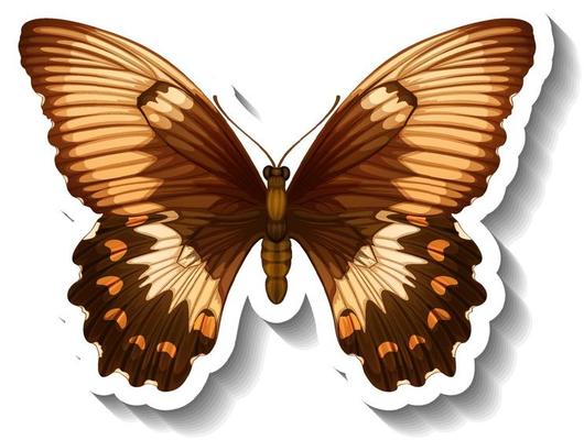 A sticker template with butterfly or moth isolated