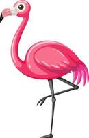 Flamingo in cartoon style isolated on white background vector