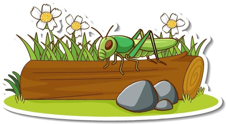 A grasshopper standing on a log with nature element sticker