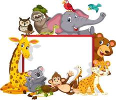 Empty banner with various wild animals vector