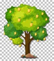 árbol de mango aislado vector