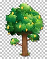 árbol de mango aislado vector