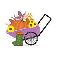 Wheelbarrow with a large pumpkin, sunflowers and rubber boots, color vector