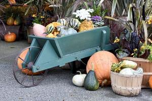 A Wheelbarrow full of Pumpkins and Gourds photo