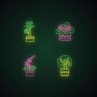 Decorative indoor plants neon light icons set vector