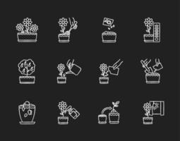 Iconos de tiza blanca de cuidado de plantas de interior en fondo negro vector