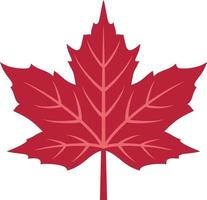 Red Maple Leaf vector