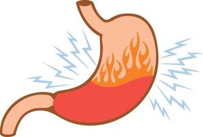 Human Internal Stomach Heartburn Problem vector