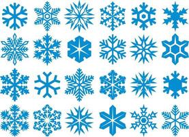 Collection of Snowflakes vector