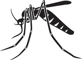insecto mosquito tigre vector