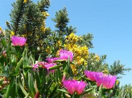 Mount San Pedro in La Coruna - Spain photo